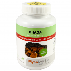 chaga