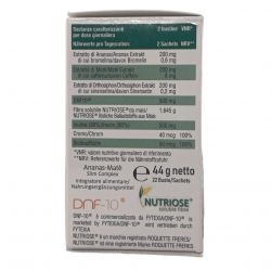 nahrin Ananas-Maté Slim komplex 44 g - nutriční hodnoty